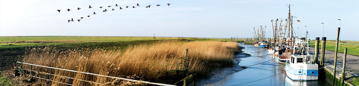 Lebenshilfe Husum - Kontakt